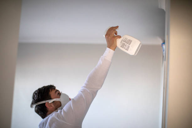 Attic Mold Removal in Erie, CO